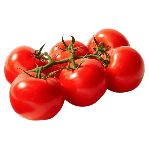 Tomates en branche (BE)