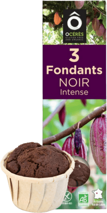 Mini Fondants Chocolat Sans Gluten & Lactose