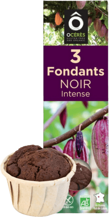 Mini Fondants Chocolat Sans Gluten & Lactose 0