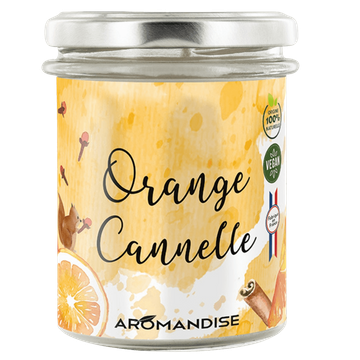 Orange Cinnamon Scented Candle