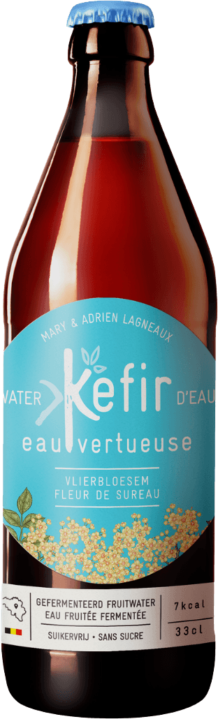 Elderflower Kefir Organic