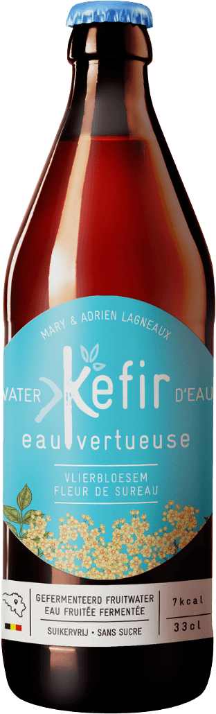 Elderflower Kefir BIO