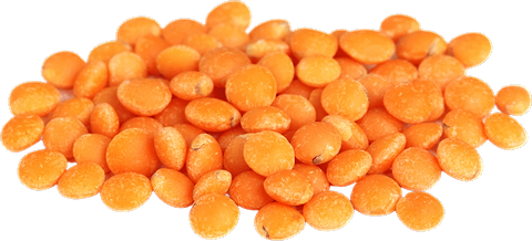 Red Footbal Lentils Origin France in bulk Organic