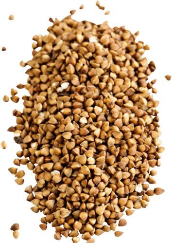 Buckwheat in bulk Organic