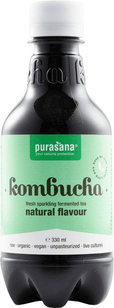 Kombucha Original Organic