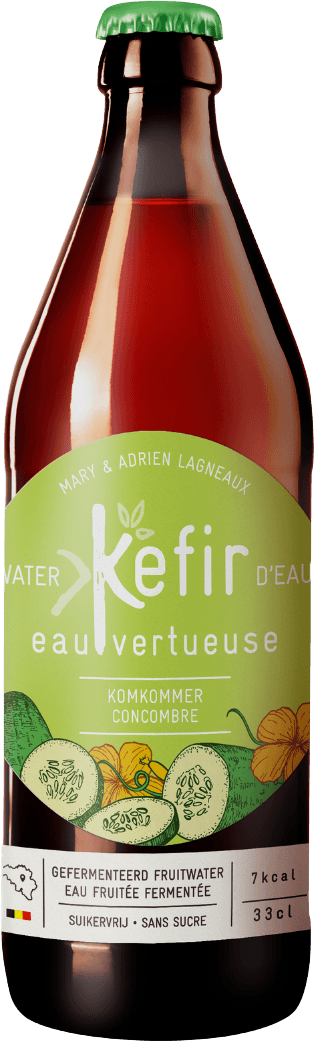 Cucumber Kefir Organic