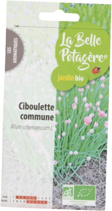 Chive to Sprout