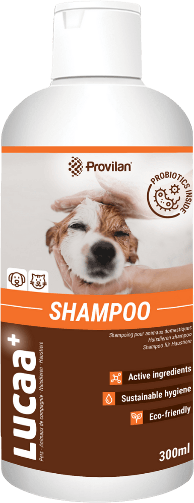 Shampoing Pour Chiens 300ml