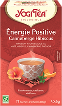 Veenbes Hibiscus Infusie BIO