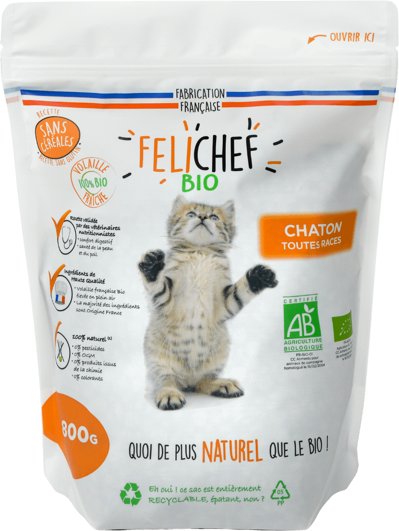 Dry Pet Food Grain Free Kitten Organic