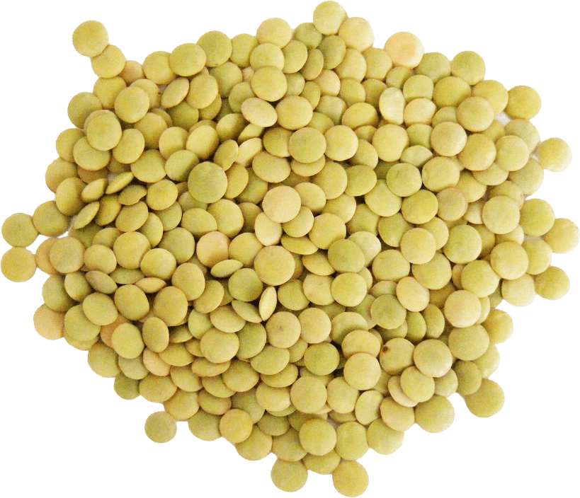 Lentilles Vertes en vrac