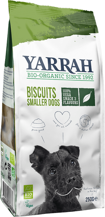 Biscuits Vegan Pour Petits Chiens