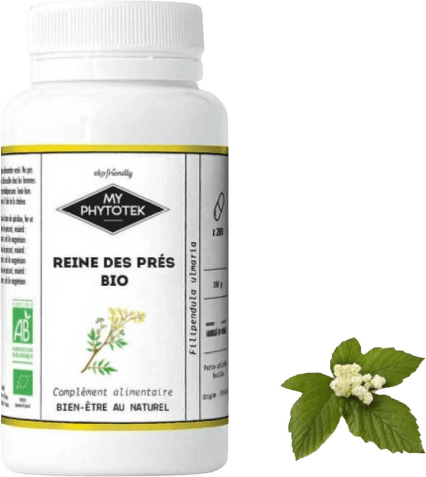 Reine des Prés