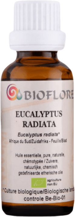 Eucalyptus Radiata Essentiële Olie bio