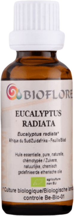 Eucalyptus Radiata Essentiële Olie BIO