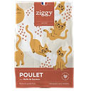 Kip En Zalmolie Graanvrij Kitten Brokken