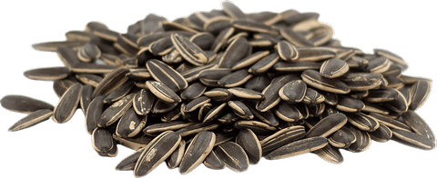 Zonnebloempitten in bulk