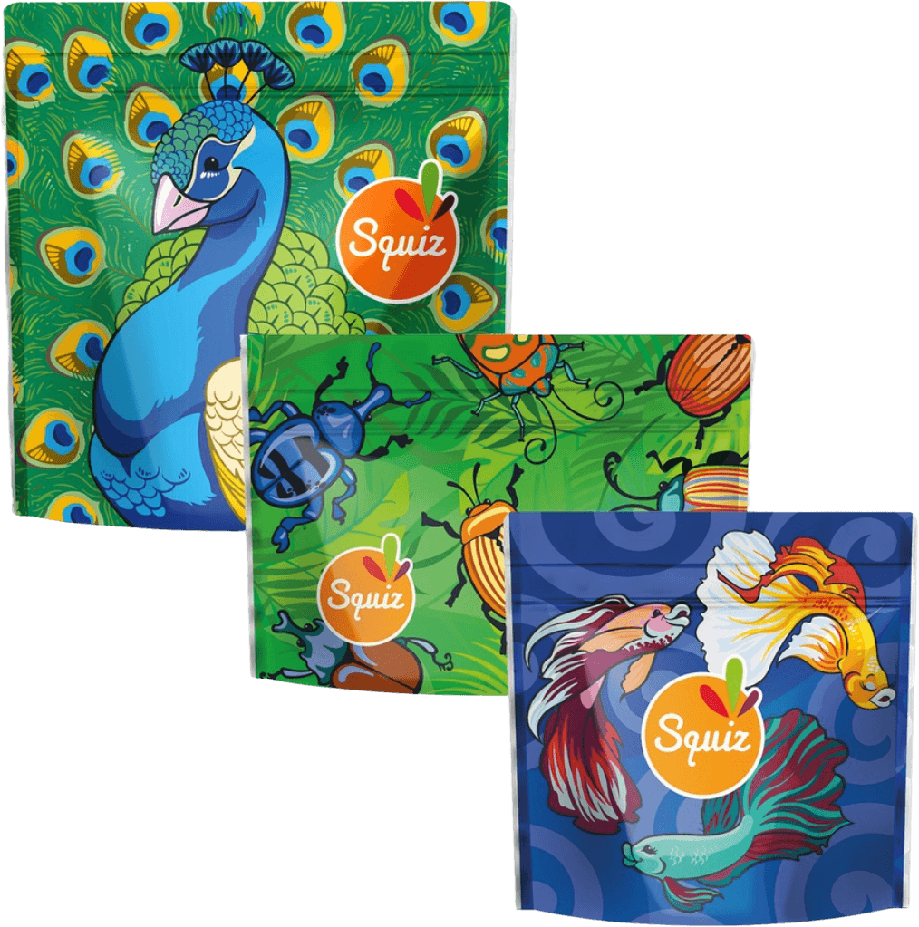 Lot Sachets Réutilisables Les Flamboyants