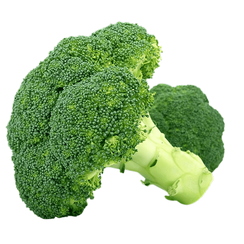 Brocoli (1 pièce)