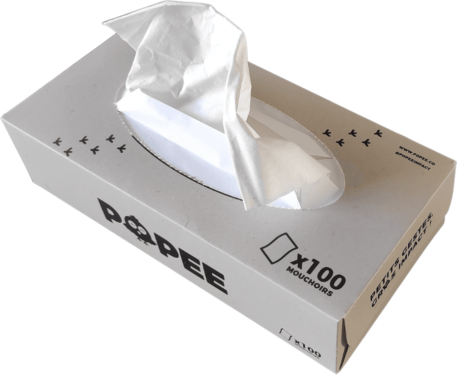 Tissues Box X100