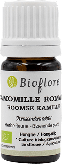 Romeinse Kamille Essentiële Olie