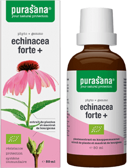 Echinacea forte +