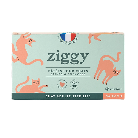 Sterilized Salmon Adult Cat Pâté Pack 0