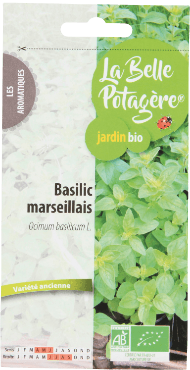 Basil to Sprout