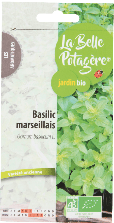 Basilicum Kiemzaden 0