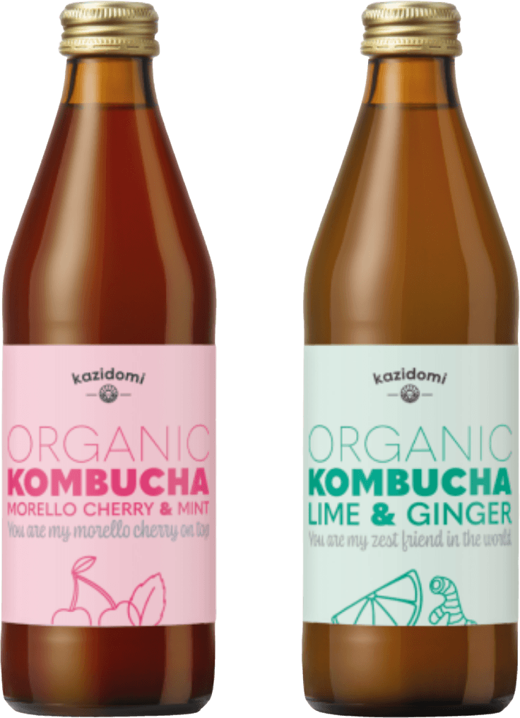 Pack Découverte Nos Kombucha 0