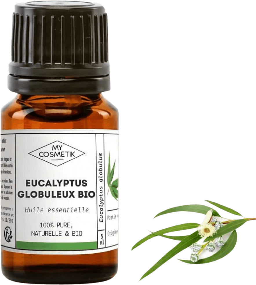 Huile Essentielle Eucalyptus Globuleux