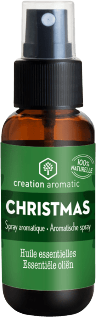 Spray HE Aromatique Christmas