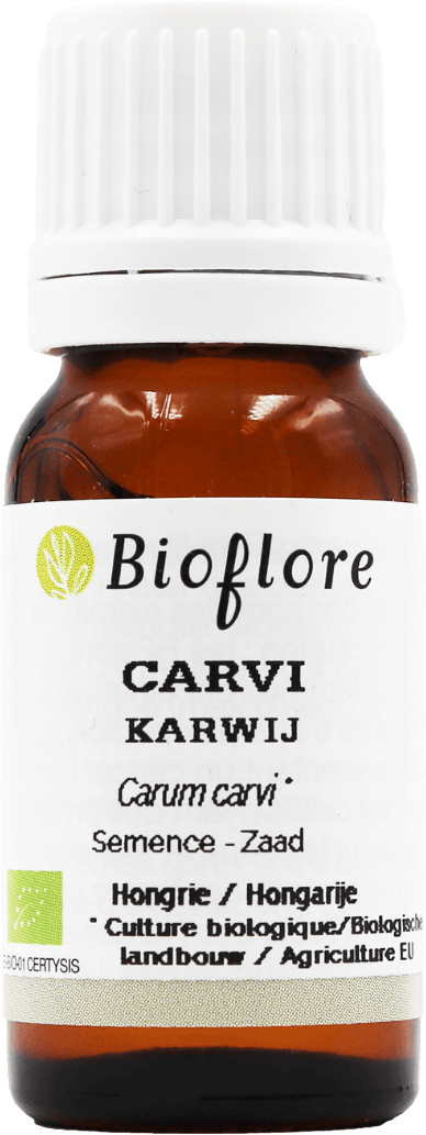 Caraway Essentiel Oil