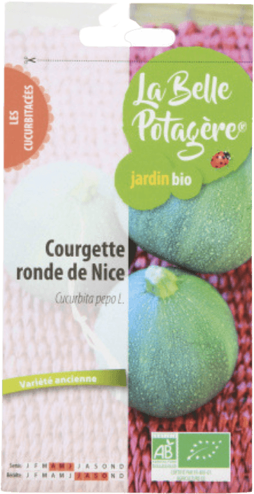 Courgette noire verte de Milan