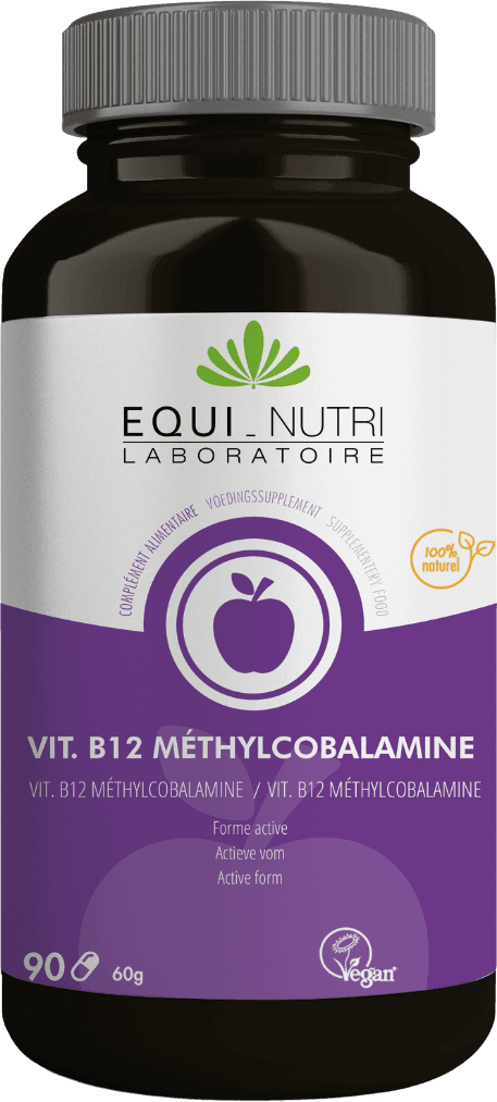 Vitamin B12 1000Mcg Methylcobalamine 90 Pills