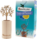 Diffuser Door Capillaire
