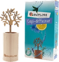 Diffuser door Capillaire 
