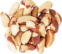 Amazonian Nuts In Bulk Organic