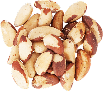 Amazonian Nuts In Bulk Organic