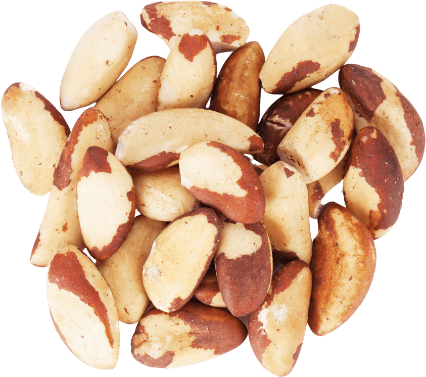 Amazonian Nuts in Bulk