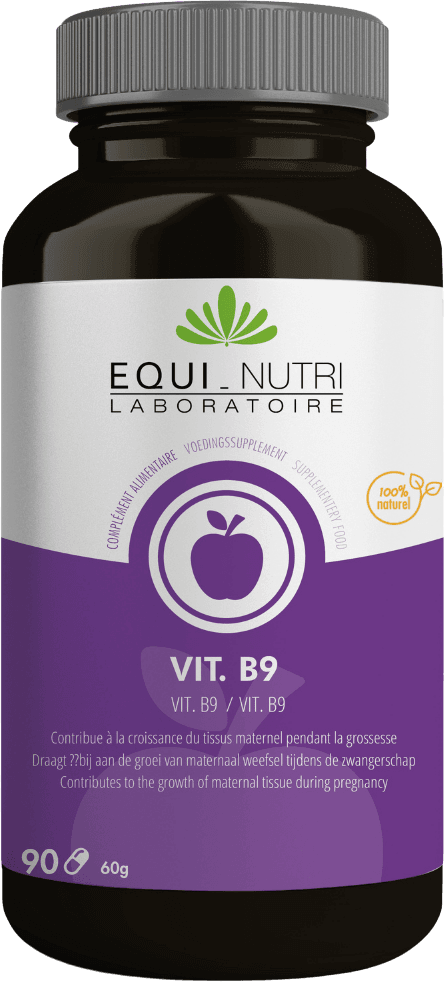 Vitamine B9 90 Capsules