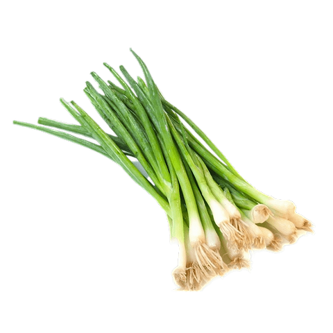 Oignon Ciboule (Botte) (BE)