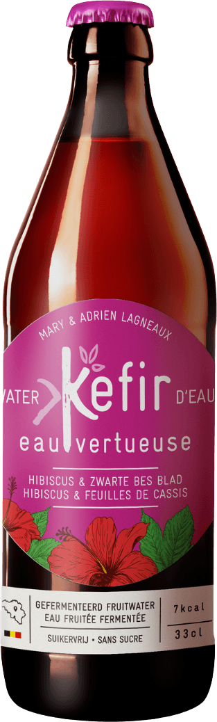 Hibiscus & Blackcurrant Leaf Kefir Organic