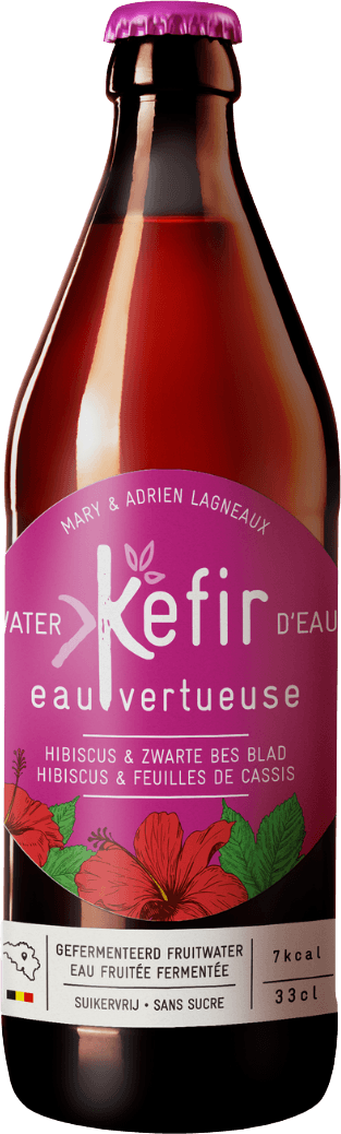 Hibiscus & Blackcurrant Leaf Kefir BIO