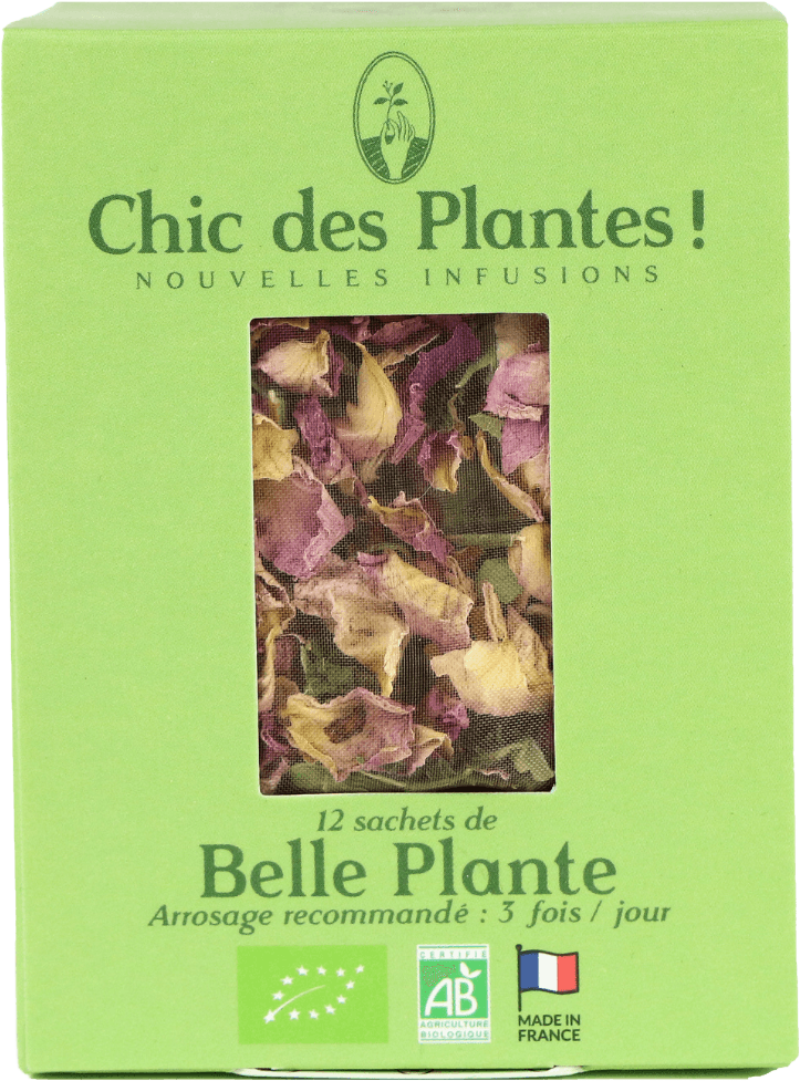 Kruidenthee Belle Plante