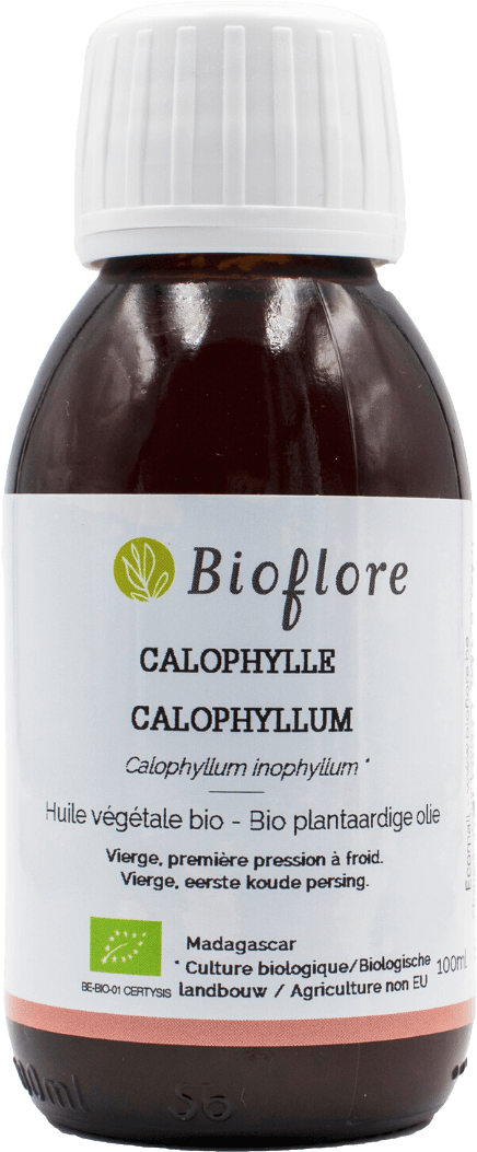 Zuivere Inophyllum Calophylle Olie