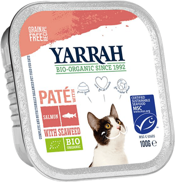 Paté Pour Chat Au Saumon