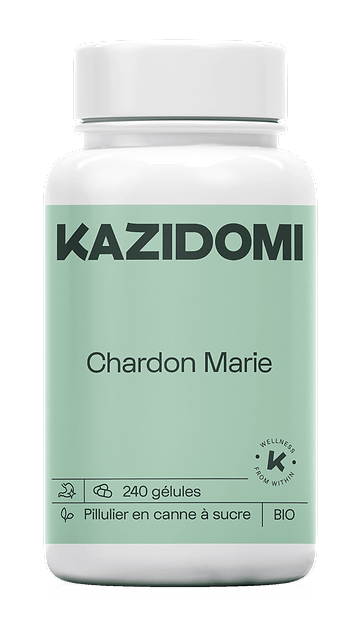 Chardon Marie (santé Du Foie, Détox, élimination)