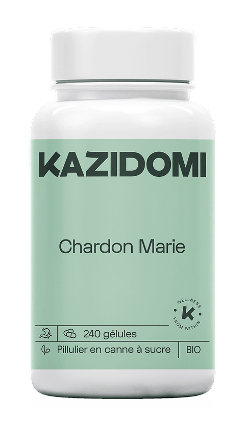 Chardon Marie (santé du foie, détox, élimination)