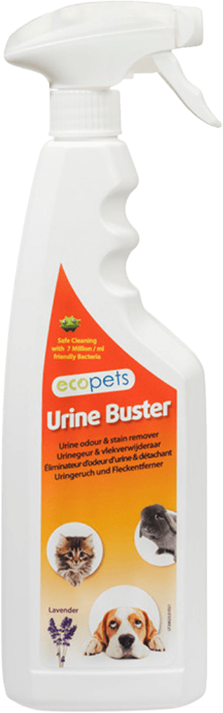 Anti Odeurs & Tâches Urine